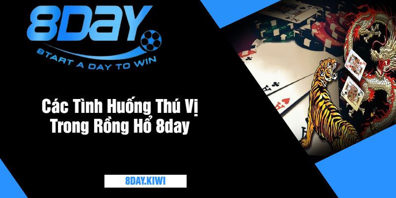 Các Tình Huống Thú Vị Trong Rồng Hổ 8day