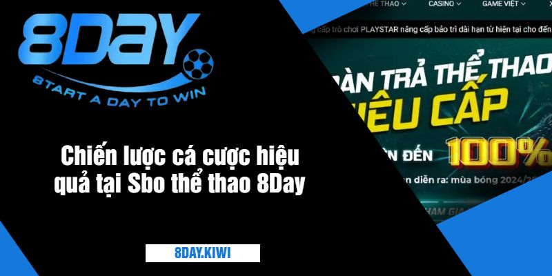 Chiến lược cá cược hiệu quả tại Sbo thể thao 8Day