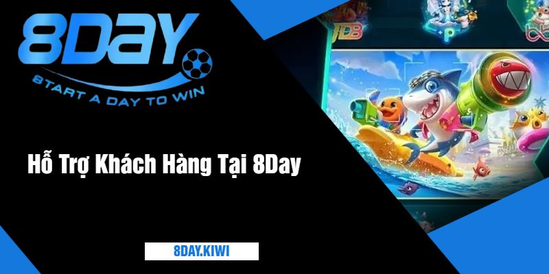 Hỗ Trợ Khách Hàng Tại 8Day