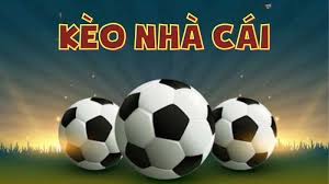 Giới thiệu chung về Keonhacai